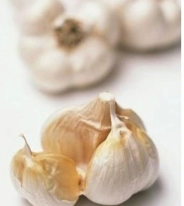 順旺農產品 優質大蒜供應商，來電訂購享優惠